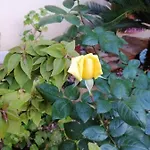 Casa Angelo Σπίτι διακοπών Σαν Βίτο λο Κάπο