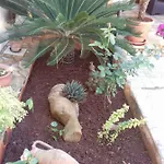 Casa Angelo 別荘
