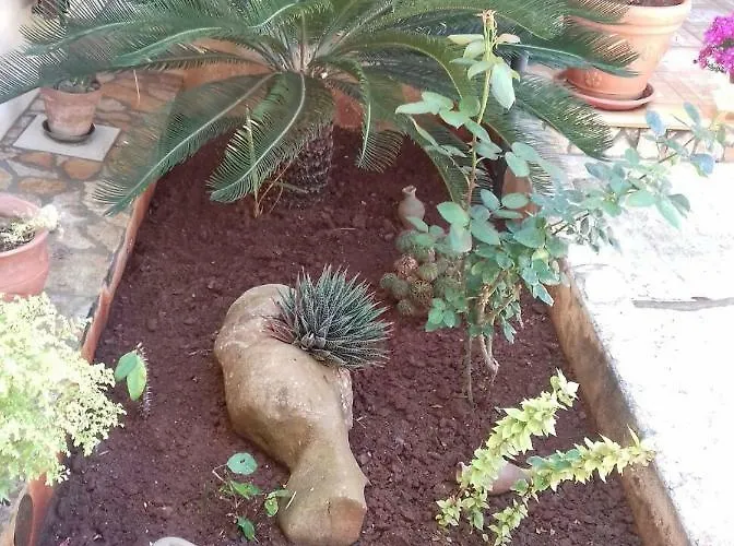 Casa Angelo Tatil Evi