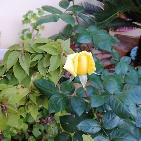 Casa Angelo Holiday home San Vito Lo Capo